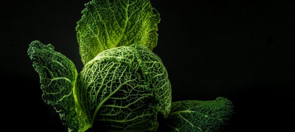 I cavoli una fonte di benessere